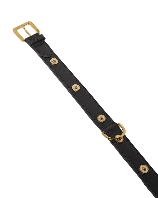 Versace Icon Pet Collar